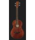 BAJO PARLOR ELECTROACUSTICO IBANEZ PNB14E-OPN