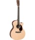 GUITARRA ELECTROACUSTICA MARTIN GPCX1RAE