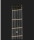 GUITARRA ELECTRICA STEINBERGER SPIRIT GT-PRO DLX QTWR