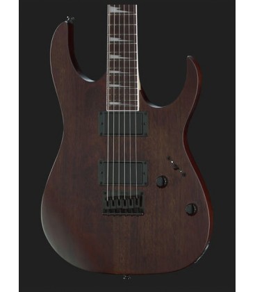 GUITARRA ELECTRICA IBANEZ GRG121DX-WNF