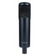 MICROFONO DE CONDENSADOR SE ELECTRONICS SE2200