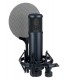 MICROFONO DE CONDENSADOR SE ELECTRONICS SE2200