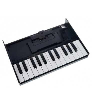 TECLADO PARA MODULOS BOUTIQUE ROLAND K-25M