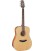 GUITARRA ACUSTICA TAKAMINE GD20-NS
