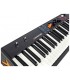 PIANO DIGITAL DE ESCENARIO STUDIOLOGIC NUMA COMPACT 2X