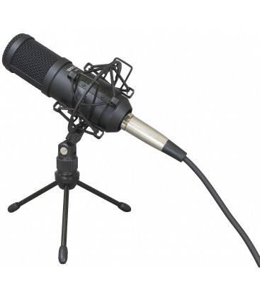 MICROFONO DINAMICO TASCAM TM-70