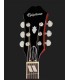 GUITARRA ELECTROACUSTICA EPIPHONE HUMMINGBIRD PRO FCS