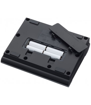 PROCESADOR DE VOZ ZOOM V3