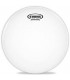 EVANS PARCHE 12" B12G2