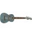UKELELE FENDER DHANI HARRISON TQS