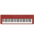 TECLADO PORTATIL CASIO CT-S1RD