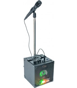 CONJUNTO DE ALTAVOZ Y MICROFONO PARTY LIGHT & SOUND PARTY-SINGER