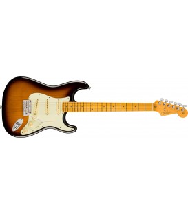 GUITARRA ELECTRICA FENDER AMERICAN PROFESSIONAL II STRAT MN 2CS