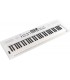 TECLADO PORTATIL ROLAND GO KEYS 5 WH