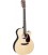 GUITARRA ELECTROACUSTICA MARTIN GPC-13E ZIRICOTE