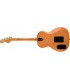 GUITARRA ELECTROACUSTICA FENDER HIGHWAY SERIES PARLOR MAH