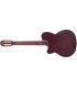 GUITARRA CLASICA SIRE LARRY CARLTON G5N TS