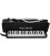 MELODICA RECORD M-37BK
