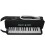 MELODICA RECORD M-32BK