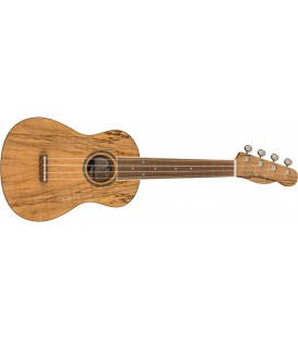 UKELELE CONCIERTO FENDER ZUMA EXOTIC NATURAL SPALTED MAPLE
