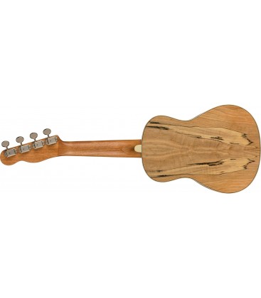UKELELE CONCIERTO FENDER ZUMA EXOTIC NATURAL SPALTED MAPLE
