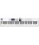 TECLADO CONTROLADOR ARTURIA KEYLAB ESSENTIAL 88 MK3 WHITE