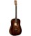 GUITARRA ELECTROACUSTICA MARTIN D JR. E STREETMASTER