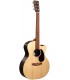 GUITARRA ELECTROACUSTICA MARTIN GPC-X2E COCOBOLO