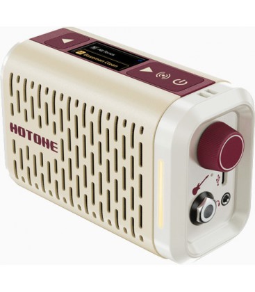 AMPLIFICADOR DE MODELADO HOTONE PULZE MINI