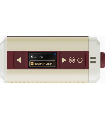 AMPLIFICADOR DE MODELADO HOTONE PULZE MINI