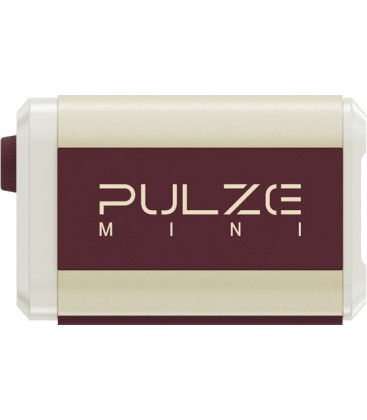 AMPLIFICADOR DE MODELADO HOTONE PULZE MINI