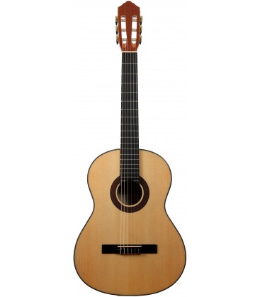 GUITARRA FLAMENCA JOSE GOMEZ F20