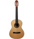 GUITARRA FLAMENCA JOSE GOMEZ F20