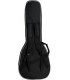GUITARRA ELECTRICA EPIPHONE FUTURA LES PAUL CUSTOM FSS