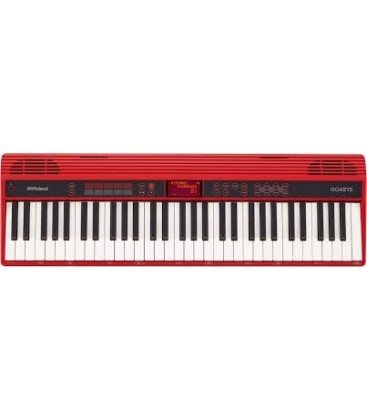 ROLAND TECLADO GO61K