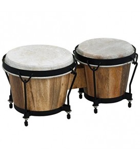 BONGO F826002 CLUB SALSA