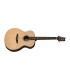 PRS GUITARRA ELECTROACUSTICA SE TX20E NAT