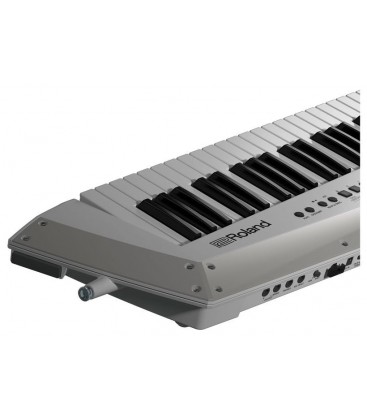 KEYTAR CON SONIDOS ROLAND AX-EDGE WHITE