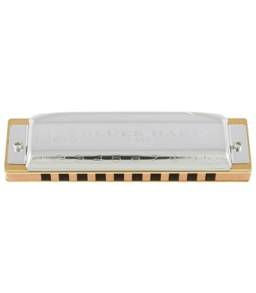 ARMONICA DIATONIA HOHNER BLUES HARP C