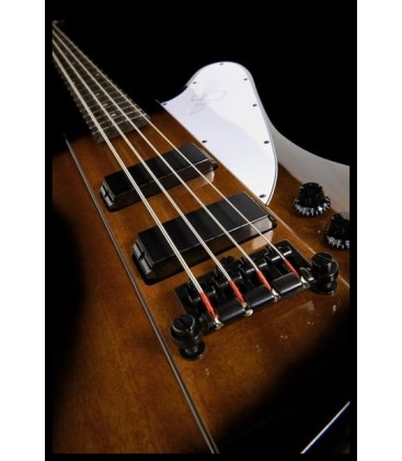 BAJO ELECTRICO EPIPHONE THUNDERBIRD IV VS