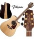 GUITARRA ELECTROACUSTICA TAKAMINE GD93CE NAT