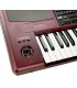 TECLADO AUTOMATICO PROFESIONAL KORG PA1000