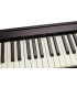 PIANO DIGITAL ROLAND FP-10 BK