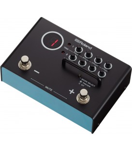 MODULO DE PERCUSION ROLAND TM-1