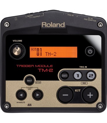 MODULO DE PERCUSION ROLAND TM-2