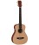 GUITARRA ELECTROACUSTICA MARTIN LXME
