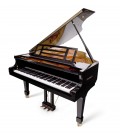 Pianos acusticos