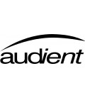 AUDIENT